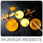 Trip Adria beliebte Urlaubsziele  - zeigt Ayurvedische Hotel Reisen mit verschiedenen Behandlungsmethoden im Überblick. Die schönsten Länder für Ayurveda Kuren